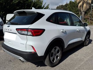 FORD Kuga 1.5 ecoblue Connect 2wd 120cv 3