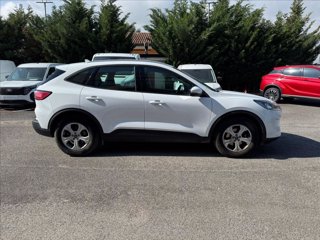 FORD Kuga 1.5 ecoblue Connect 2wd 120cv 8