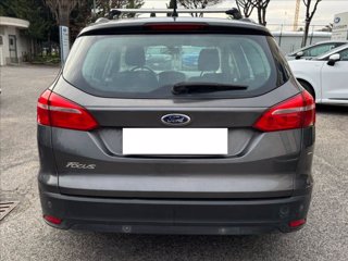 FORD Focus 5p 1.6 tdci Plus 95cv 2
