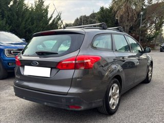 FORD Focus 5p 1.6 tdci Plus 95cv 3