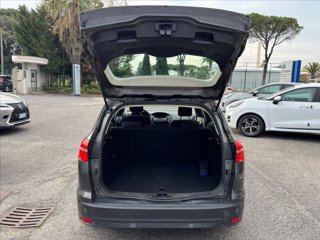 FORD Focus 5p 1.6 tdci Plus 95cv 6