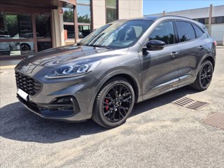 FORD Kuga 2.0 ecoblue ST-Line X awd 120cv auto 1