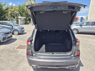 FORD Kuga 2.0 ecoblue ST-Line X awd 120cv auto 8