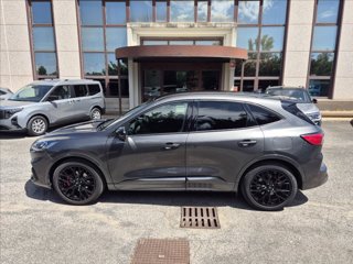 FORD Kuga 2.0 ecoblue ST-Line X awd 120cv auto 9