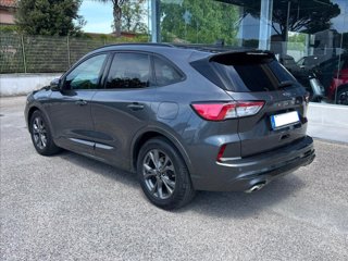 FORD Kuga 1.5 ecoblue ST-Line 2wd 120cv 2